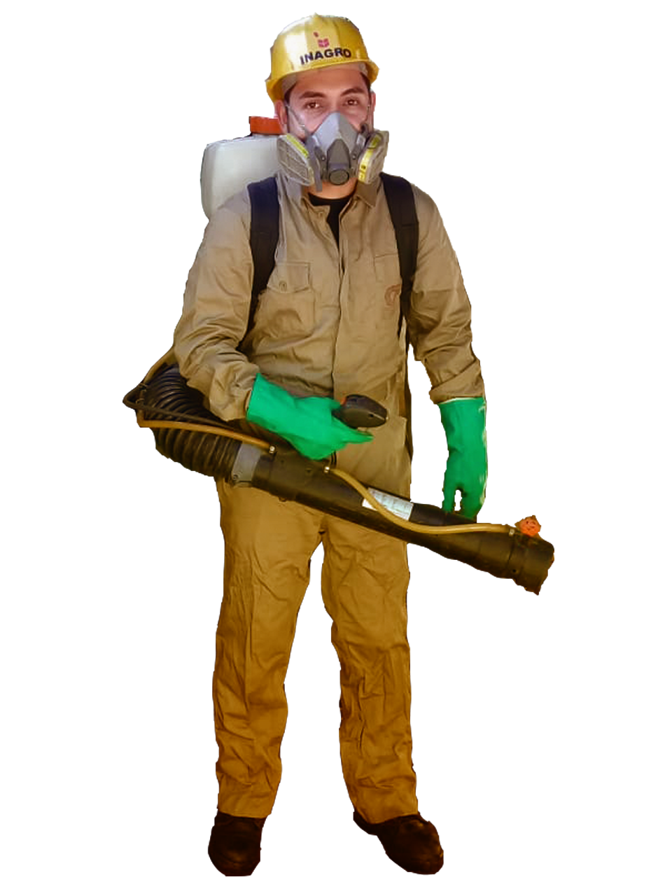 Servicios de control de plagas Paraguay, Eliminación de todo tipo de plagas, roedores, cucarachas, mosquitos, hormigas, termitas, chinches, arañas, avispas, pulgas, grillos y más.